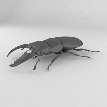 Dorcus titanus insect beetles 3d model