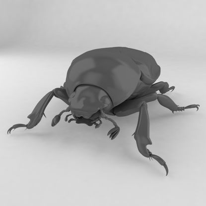 Popillia japonica insect beetles 3d model