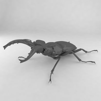 Miyama stag beetle insect beetles 3d model