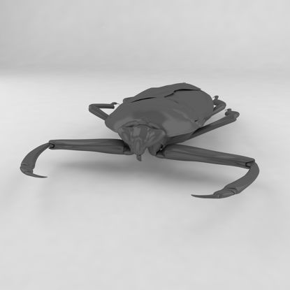 Giant water bug insect beetles 3d model