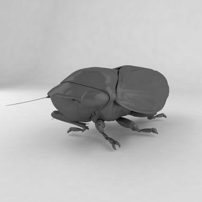 Froghopper insect beetles 3d model