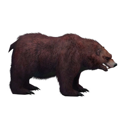 (Animal-0014)-3D-Monster Bear-skin
