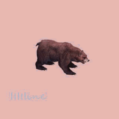 (Animal-0013) -3D-Monster Bear-حمله-2