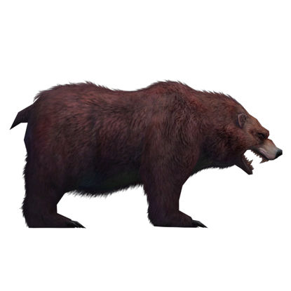 (Animal-0010) -3D-Monster Bear-Hanging point