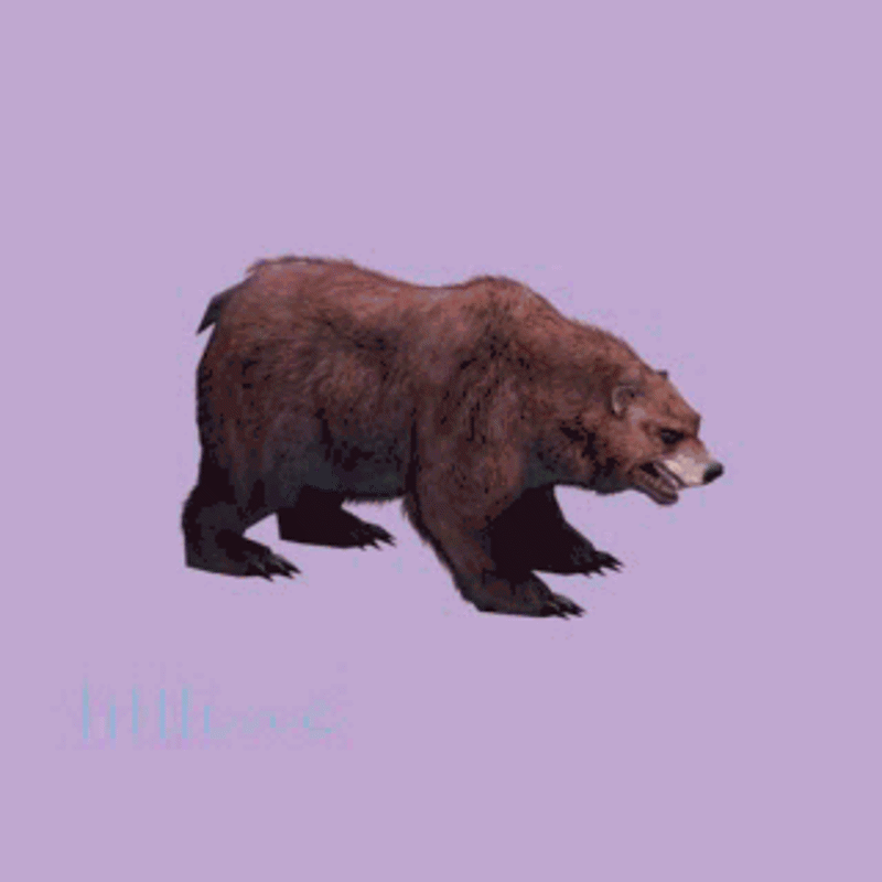 (Animal-0020) -3D-Monster Bear-Injured-right