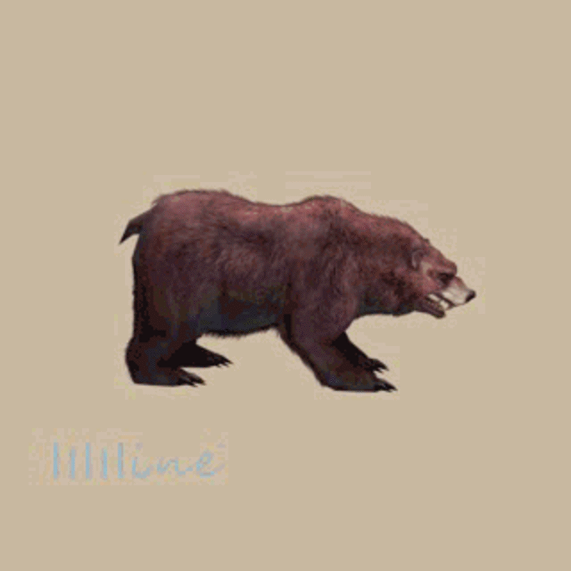 (Animal-0023)-3D-Monster Bear-Leisure time