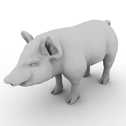 Pig 3d printing model