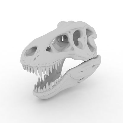3D model tiskanja lobanje Tyrannosaurus Rex