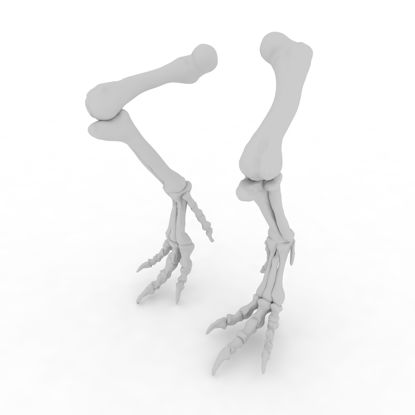 الديناصور ريكس الساق العظام نموذج الطباعة 3D
