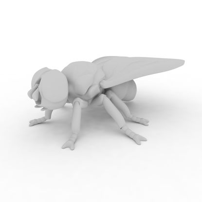 3D печатная модель мух