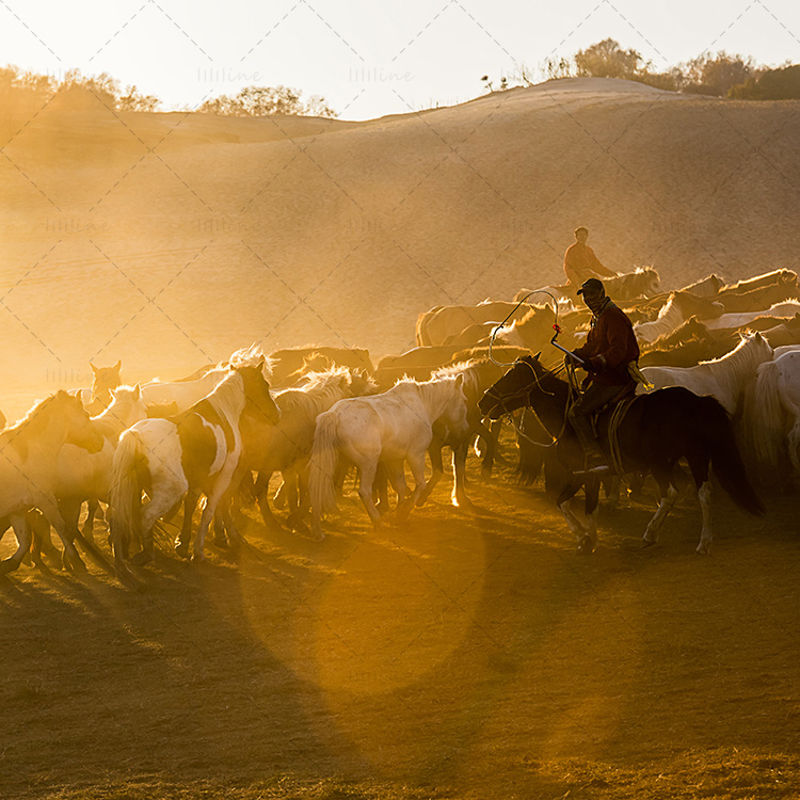 Wrangler and running horse