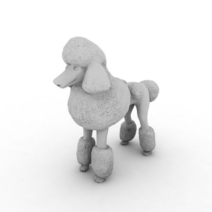 Modelo de impressão 3d Poodle