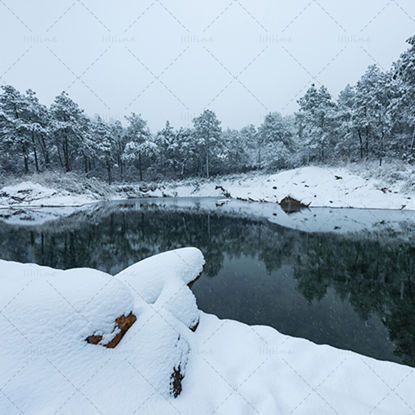 Winter lake Photo