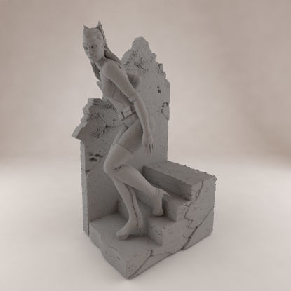 نموذج الطباعة Catwoman 3D