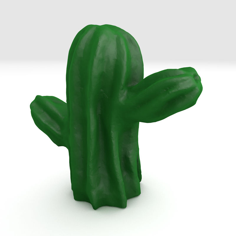 Kaktusový model 3D tisku