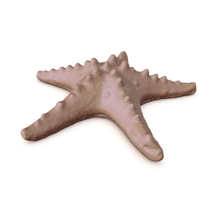 3D модел на морска звезда