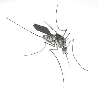 Mechanical mosquito robot 3d model