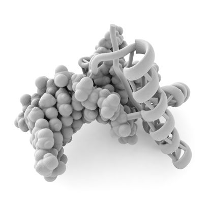 DNA-buiger 1tgh moleculaire structuur 3D-printmodel