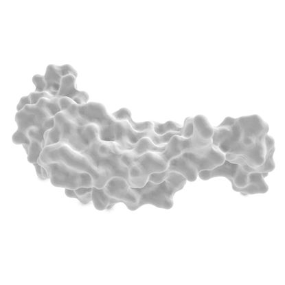 Tütün mozaik virüsü tmv alt birimi 3d baskı modeli