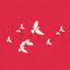 Dove transparent png psd