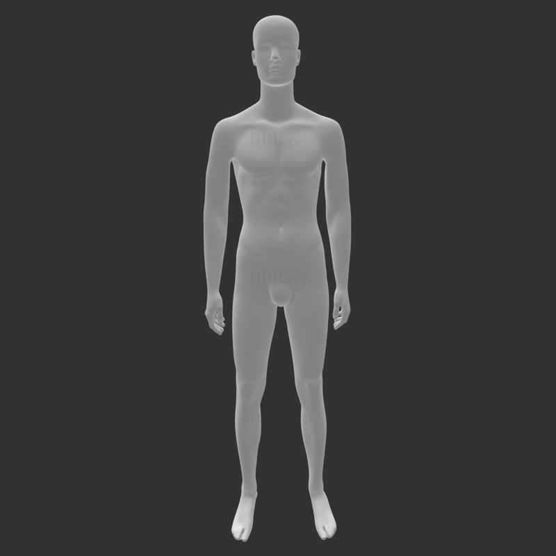 Modèle d'impression 3D de mannequin homme adulte