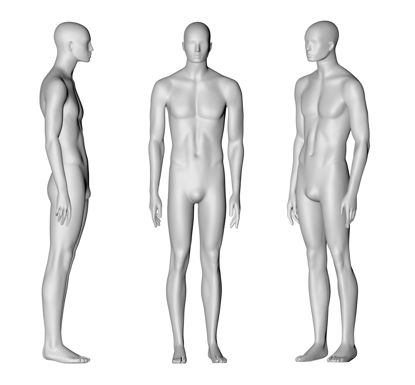 مدل چاپ 3D عضلات ورزشی مانکن مرد