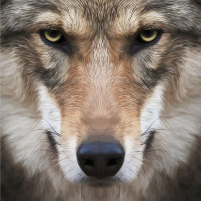 Photorealistic Wolf Face Graphic AI Vector