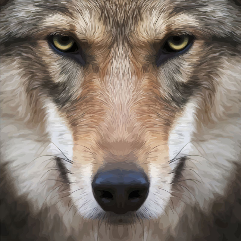 Photorealistic Wolf obraz grafični AI Vektor