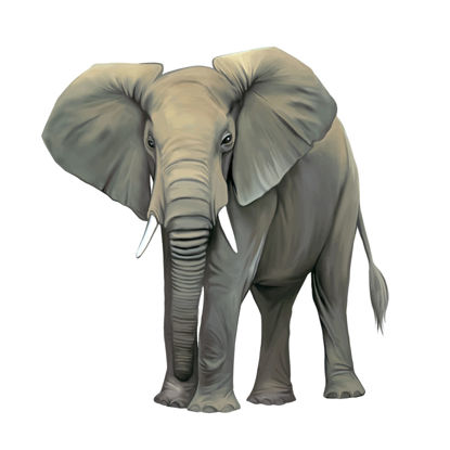 صور واقعية الحيوانات الفيل الرسم AI المتجهات