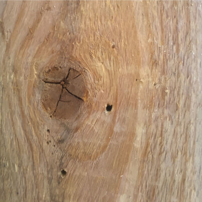 Texture Of Wood With Scab Photorealistic Graphic AI Vector