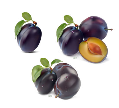 Vettore di elemento grafico fotorealistico AI di frutta prugna