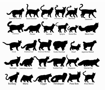 مجموعة القطط الظلية AI Vector