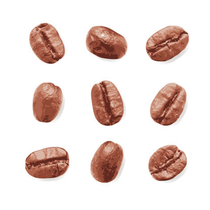 9颗照片级逼真咖啡豆图形AI矢量