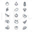 15 Vegetable Icons AI Vector