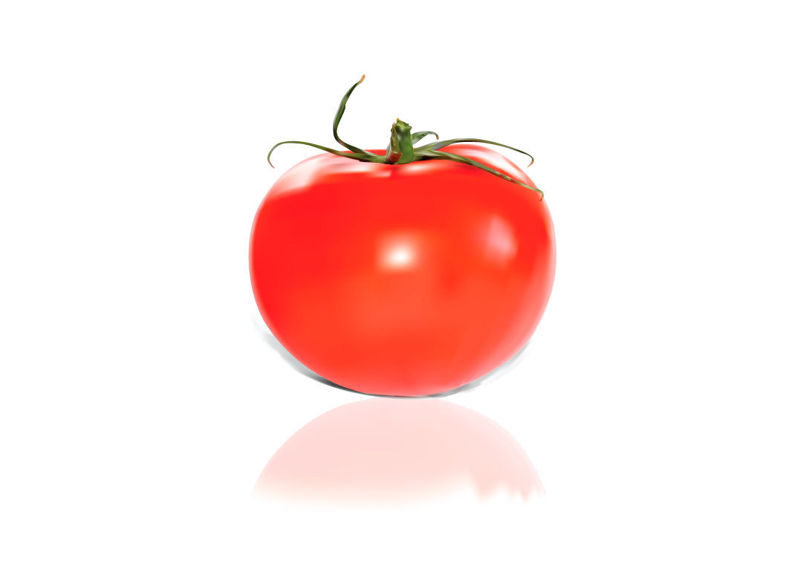 Photorealistic Fresh Tomato Graphic AI Vector