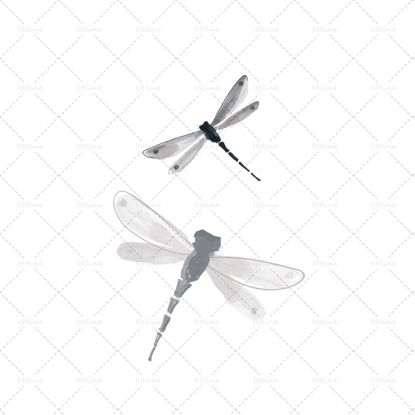 蜻蜓中国图腾纹身图案