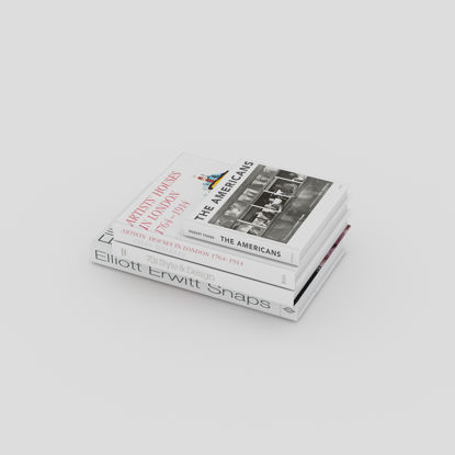 Revista modelo 3d libro