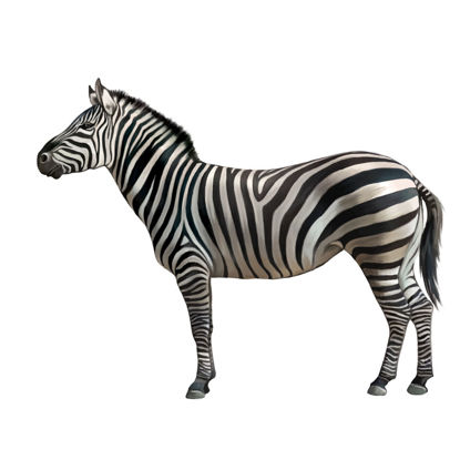 Zebra Photorealistic Graphic Design AI Vector