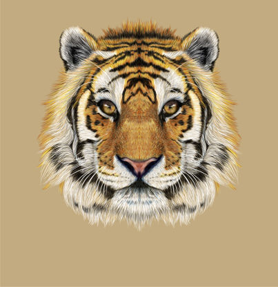 Tiger Face Photorealistic Graphic AI Vector