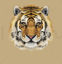 Tiger Face Photorealistic Graphic AI Vector