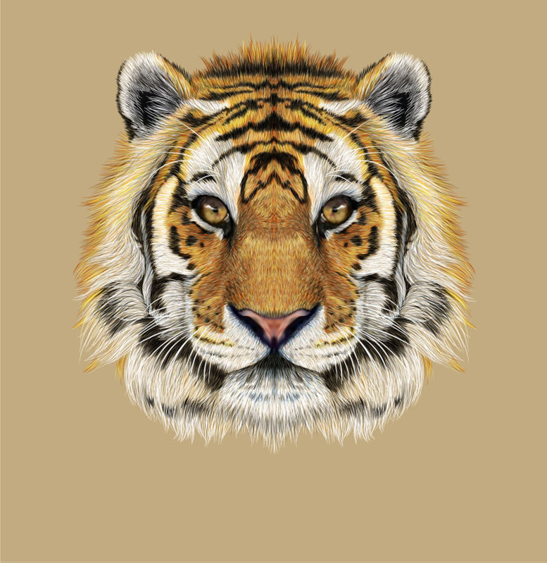 Tiger Face Photorealistic Graphic AI Vector