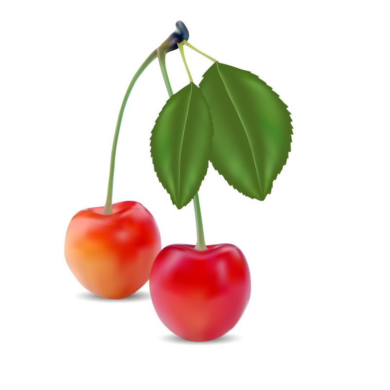 Frukt Fresh Cherry grafisk design AI Vector