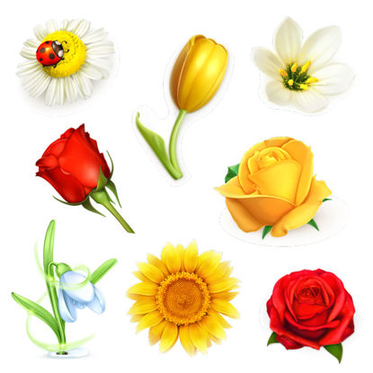 8 Flowers Photorealistic Graphic AI Vector
