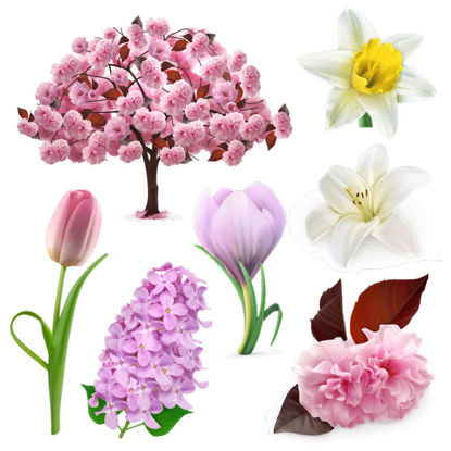 7种花朵照片级逼真图形AI矢量