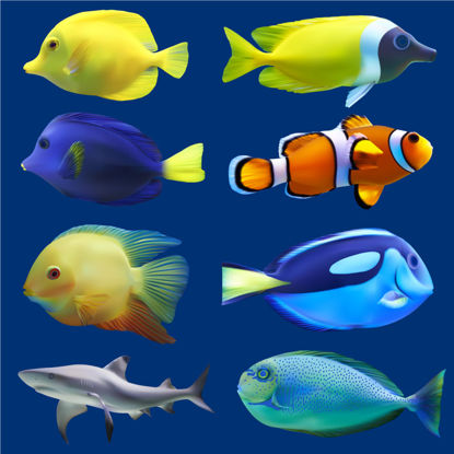 8 морских рыб Фотореалистичный графический дизайн AI Vector