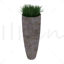 potted grass 3d model