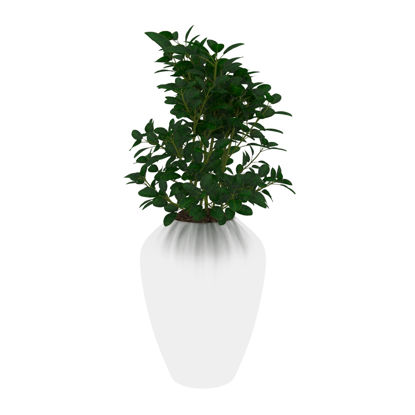 grønne planter Pot kultur 3D-modell