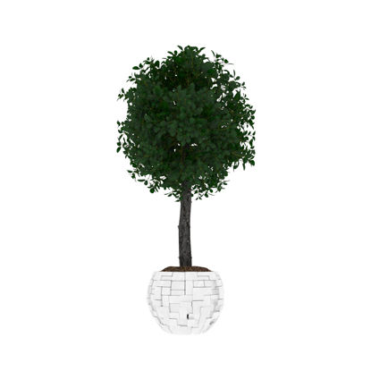 绿色植物球树盆文化3d模型