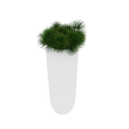 green plant bonsai 3d model