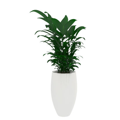 green foliage potted plant 3d model
